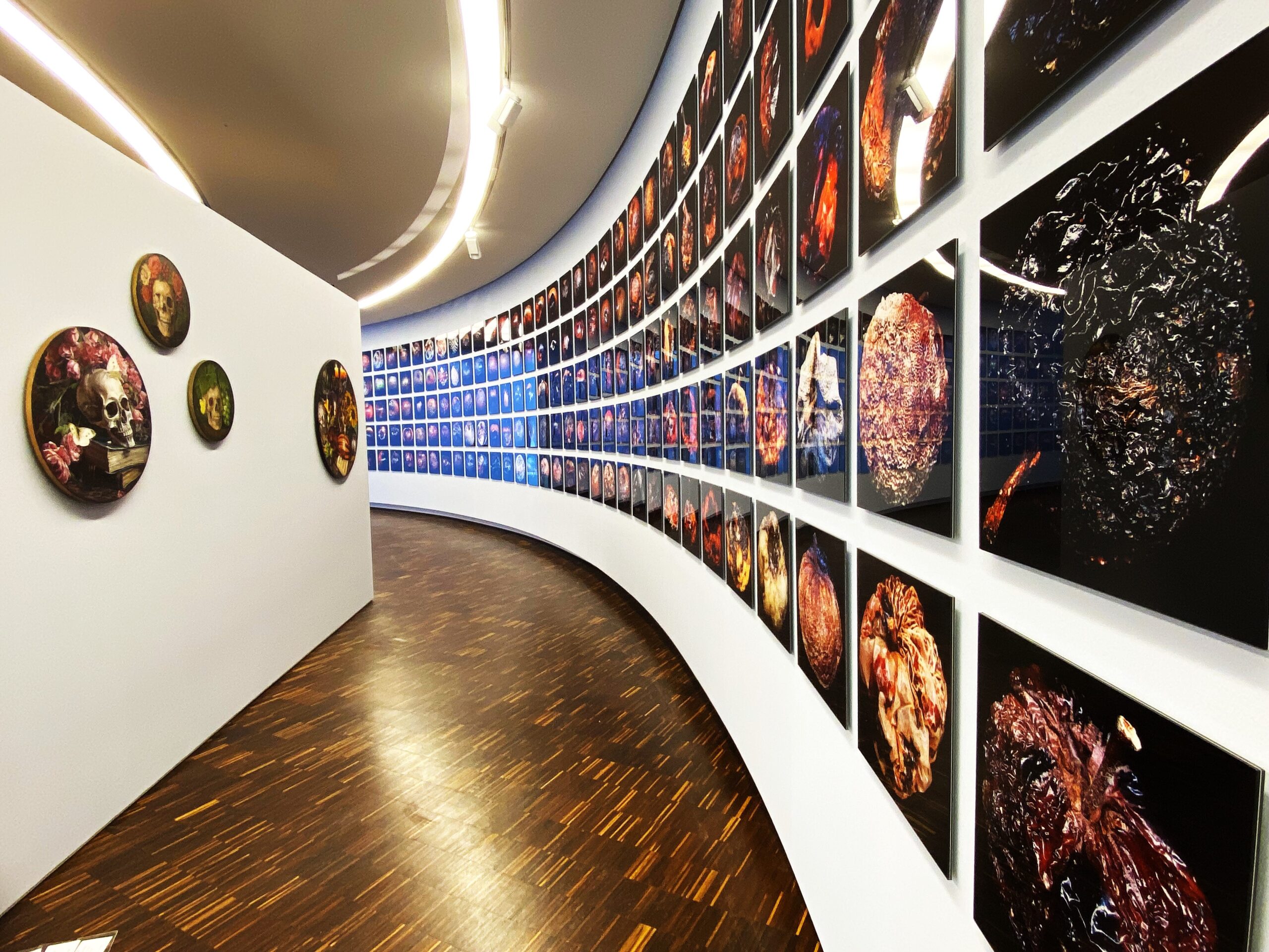 Metamorphosis Museum La 8 Ebene Ll